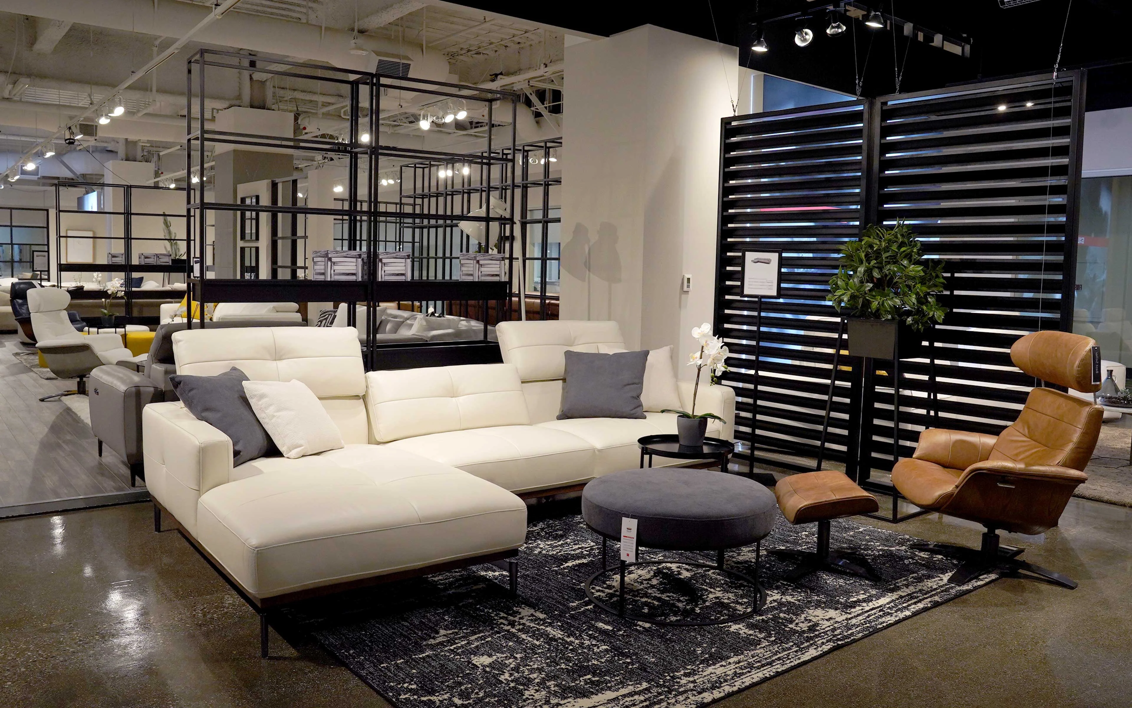 Primula Modern Motion Sectional Sofa with Adjustable Backrest - Image 4